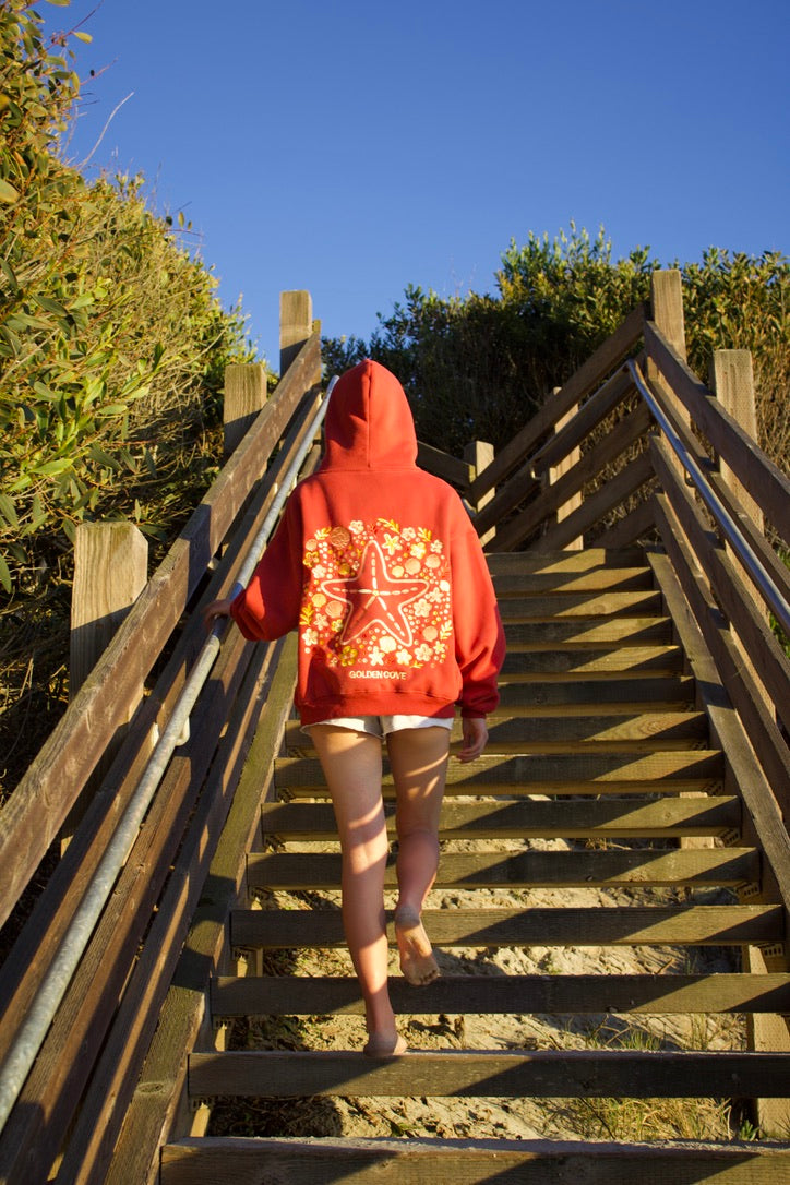 "Sea Of Stars" Oversized Embroidered Hoodie in Crimson Coast